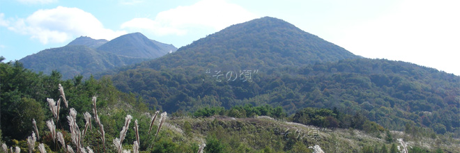 ���R�R�[�Ό��U���H