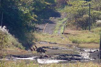 ���R�R�[�Ό��U���H