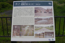 ���R�R�[�Ό��U���H