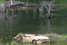 ���R�R�[�Ό��U���H