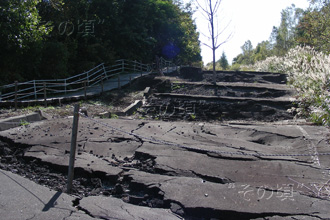 ���R�R�[�Ό��U���H