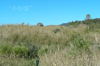 ���R�R�[�Ό��U���H