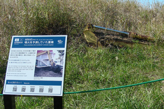 ���R�R�[�Ό��U���H