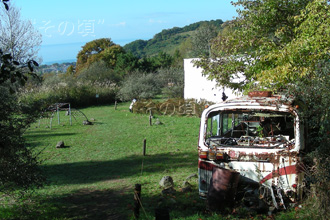 ���R�R�[�Ό��U���H