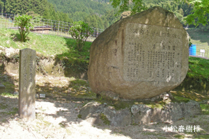 �͓����w�Z�Ւn��