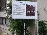 �������w�Ւn