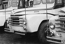 �{���l�b�g�`��