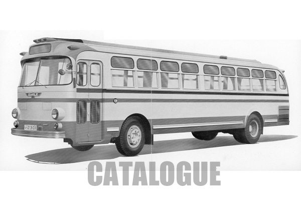 �C�[�O����