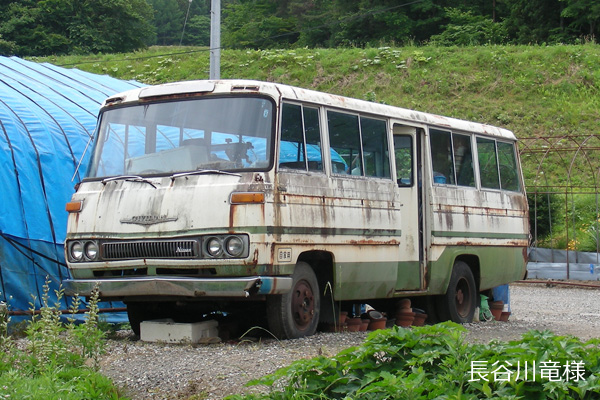 �V�r���A��