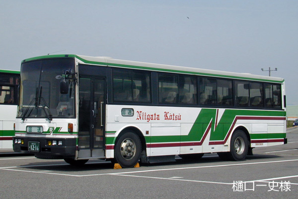 �V����ʐ�