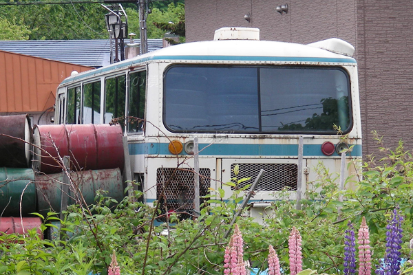 �W���[�j�[K