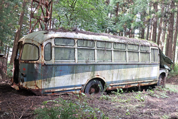 ��茧��o�X