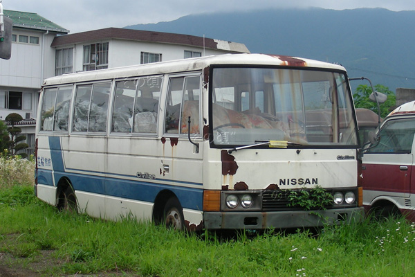 �V�r���A��