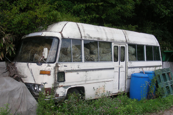 �V�r���A��