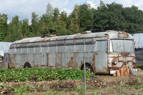 ���B�S��