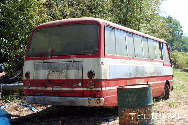 �p�[�N�E�F�C