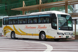 �l�I���C����