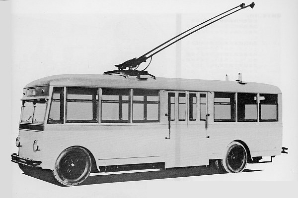 ���{���q