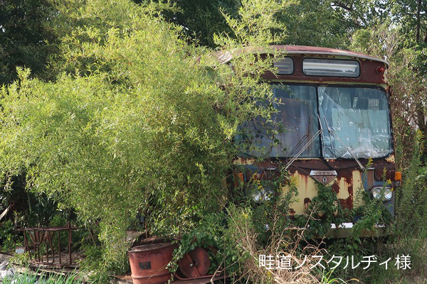 �����o�X