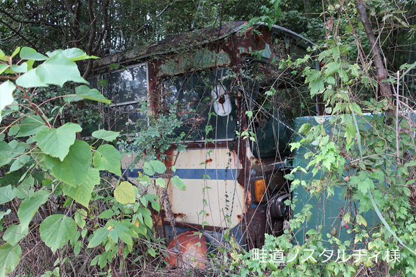 �����o�X