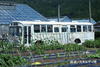 �L���S��