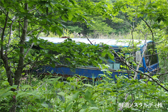 �t���f�b�J�U