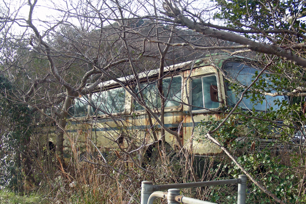 �����o�X