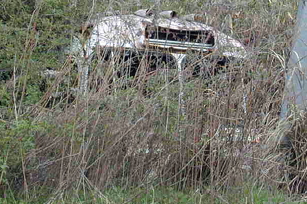 �u���[���{��