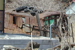 �{���l�b�g�o�X