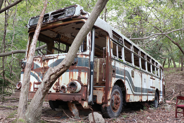 ���s�s�c�o�X