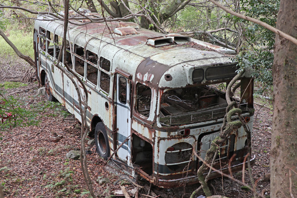 ���s�s�c�o�X