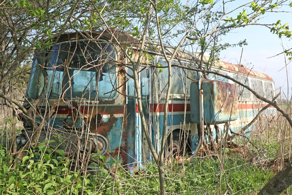 �G�����ό�