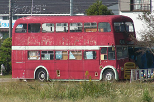 ���C�����h