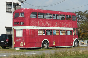 ���C�����h