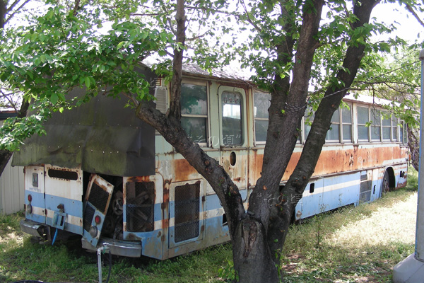 �����o�X