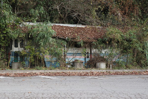 ���R�d�C�O��