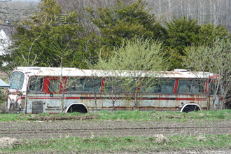 �k�C�������o�X