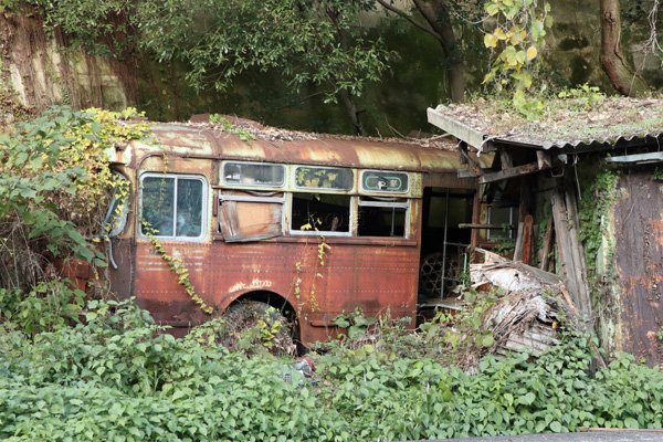 �����s��ʋ�