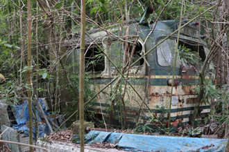 �ɓ������S��