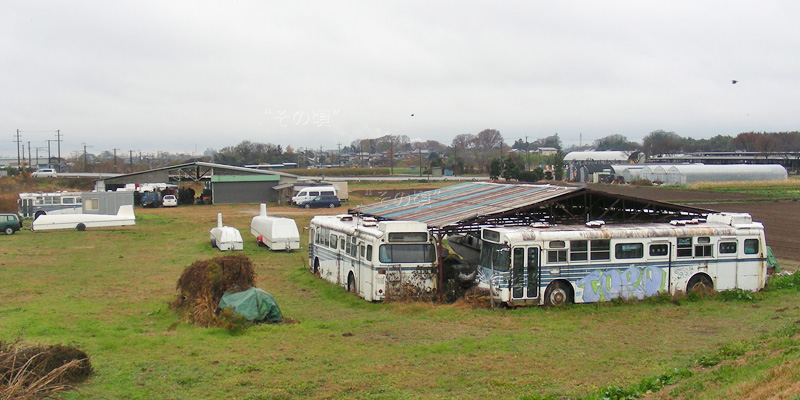 ��t�C�l���