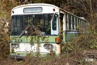 �I�B�S�����]�[�g