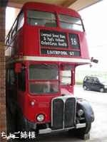 �����h���o�X