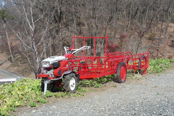 �W�����E�f�B�A