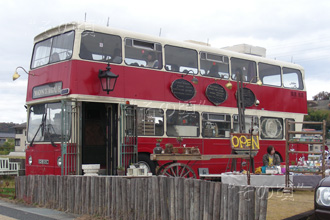 �����h���o�X