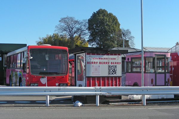 �����G���^�[�v���C�Y