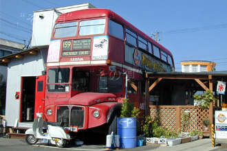 �����h���o�X