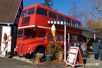 �����h���o�X